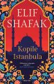 Kopile Istanbula