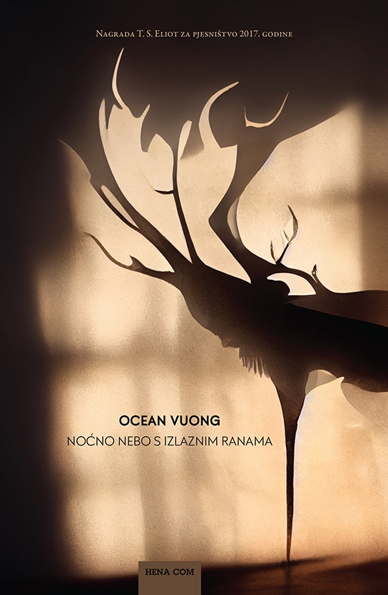 Noćno nebo s izlaznim ranama